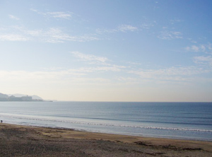 海