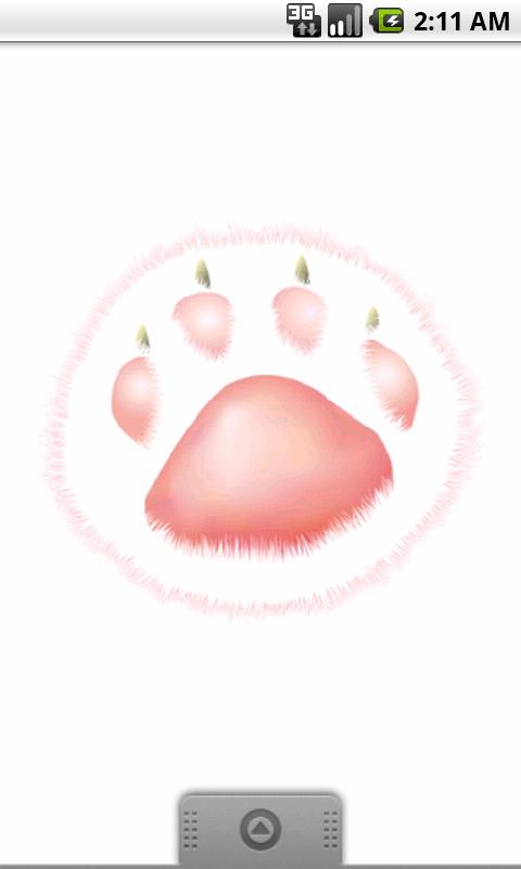 ニクキュ～