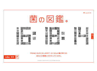 画面：ヤクルト菌の図鑑