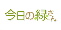今日の緑さん