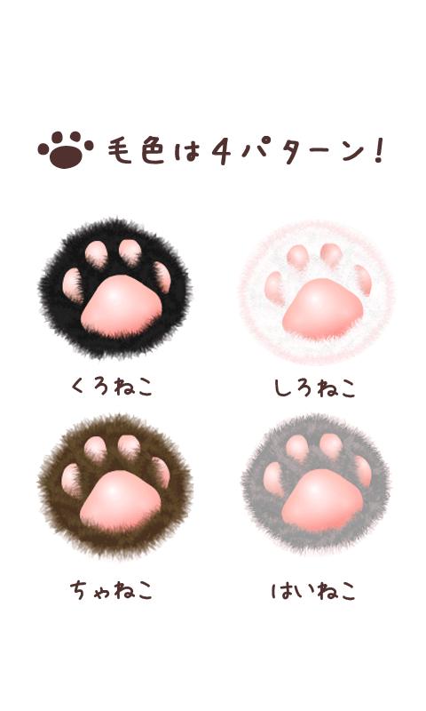 ニクキュ〜